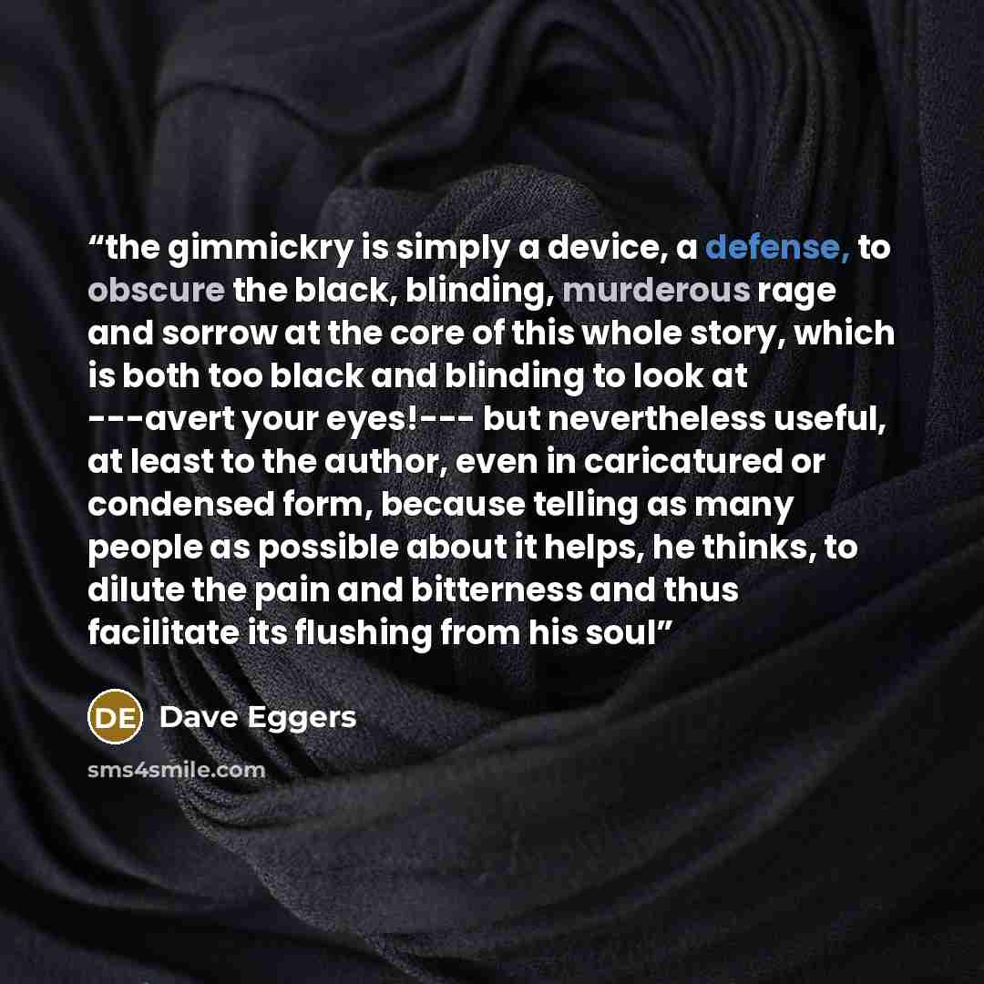 “the gimmickry is simply a device, a defense, to obscure the black, blinding, murderous rage and sorrow at the core of this whole story, which is both too black and blinding to look at ---avert your eyes!--- but nevertheless useful, at least to the author, even in caricatured or condensed form…” quote by Dave Eggers