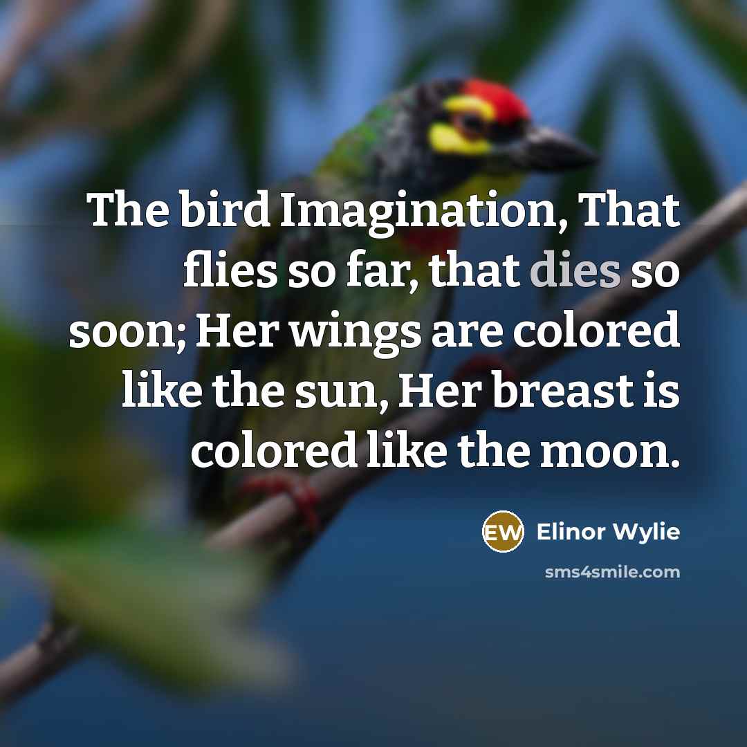 “The bird Imagination, That flies so far, that dies so…” quote by Elinor Wylie