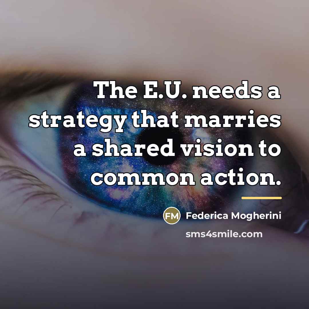 “The E.U. needs a strategy that marries a shared vision…” quote by Federica Mogherini