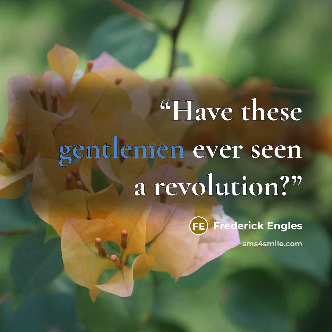 “Have these gentlemen ever seen a revolution?” quote by Frederick Engles