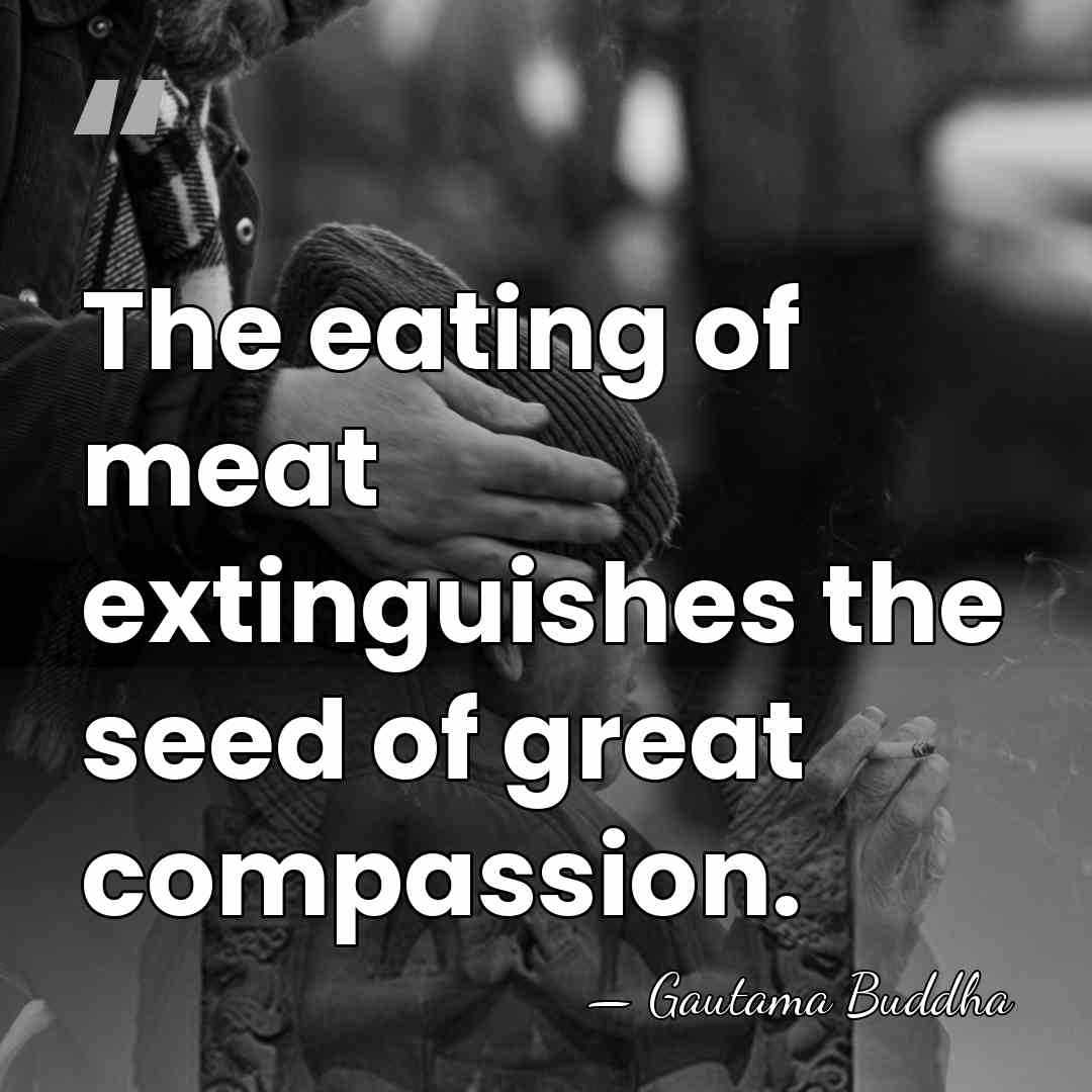 The eating of meat extinguishes the seed of great compassion. - Gautama Buddha