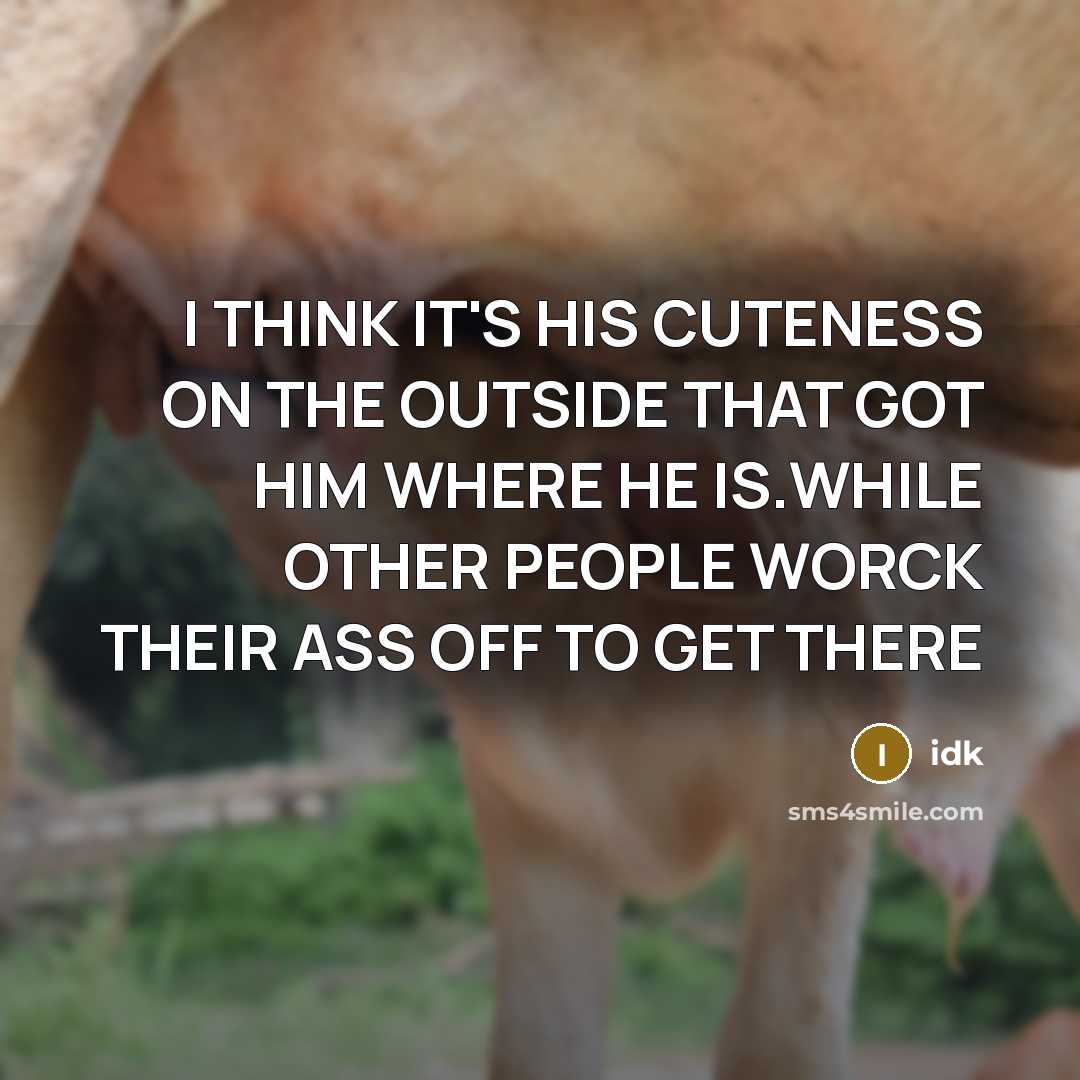 “I THINK IT'S HIS CUTENESS ON THE OUTSIDE THAT GOT…” quote by IDK