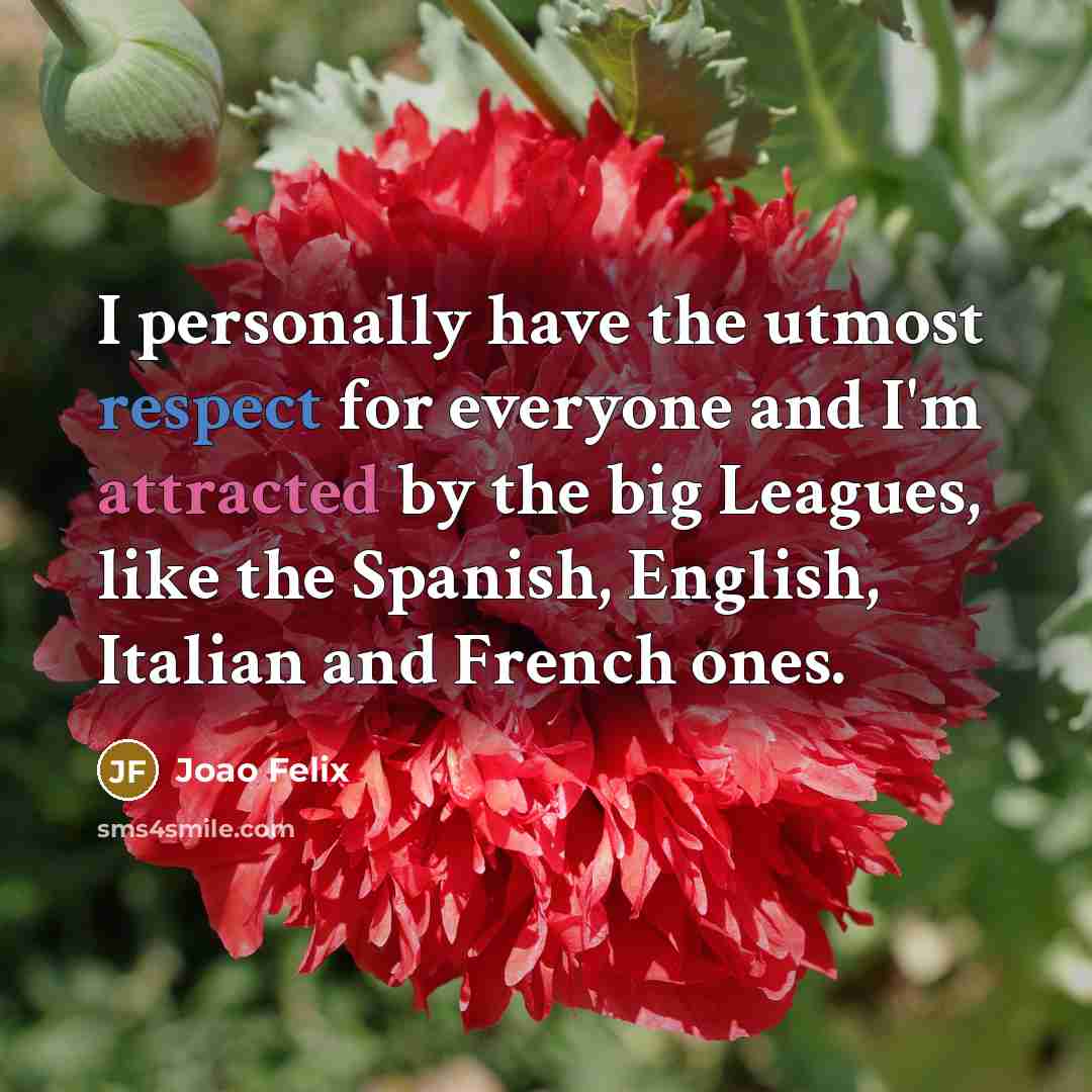 “I personally have the utmost respect for everyone and I'm…” quote by Joao Felix