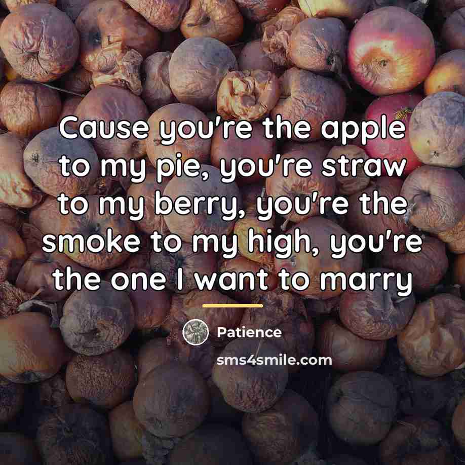 “Cause you're the apple to my pie, you're straw to…” quote by Patience