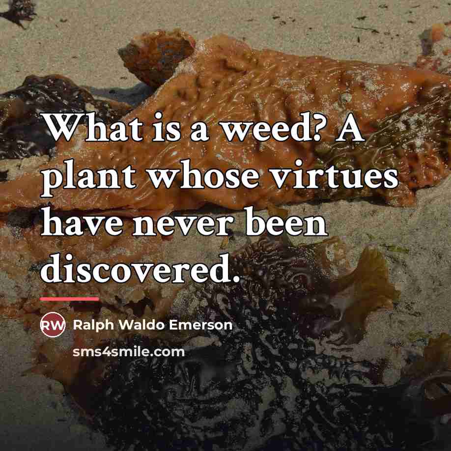 “What is a weed? A plant whose virtues have never…” quote by Ralph Waldo Emerson