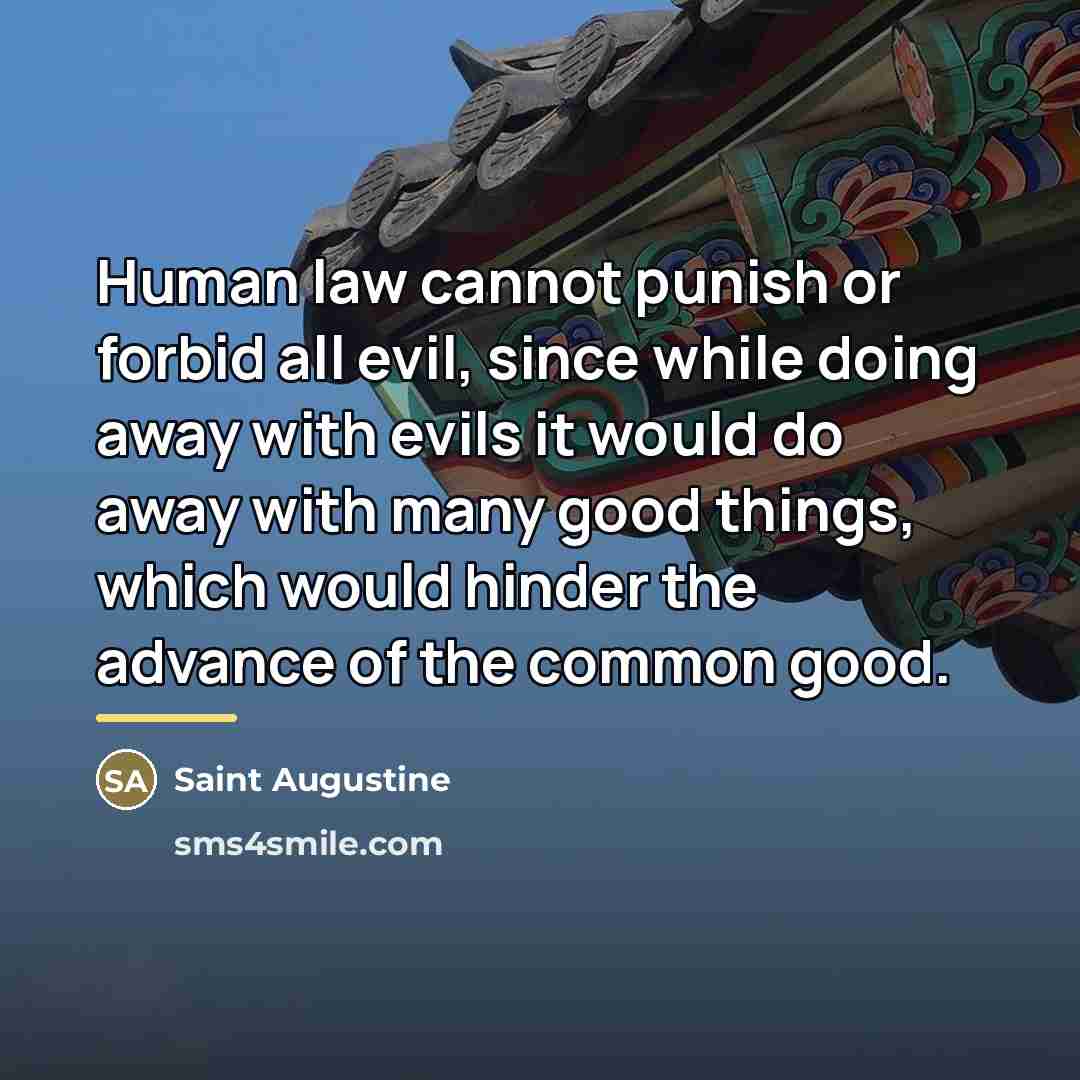 “Human law cannot punish or forbid all evil, since while…” quote by Saint Augustine