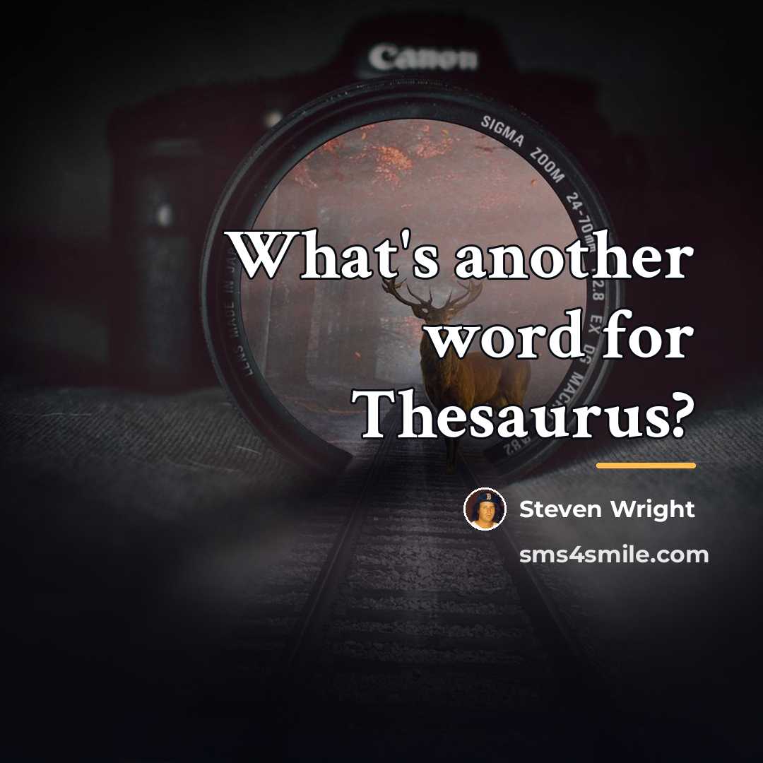 “What's another word for Thesaurus?…” quote by Steven Wright