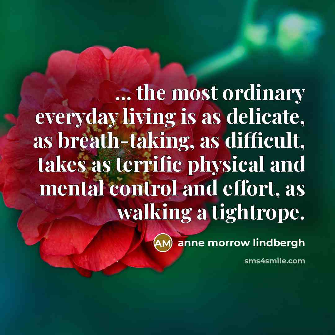 “... the most ordinary everyday living is as delicate, as…” quote by Anne Morrow Lindbergh