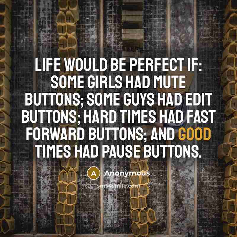 “Life would be perfect if: Some girls had mute buttons; Some guys had edit buttons; Hard times had fast forward buttons; And Good times had pause buttons.” quote by Anonymous