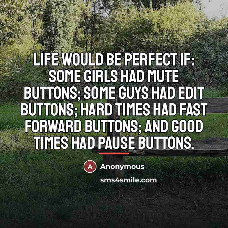 “Life would be perfect if: Some girls had mute buttons;…” quote by Anonymous