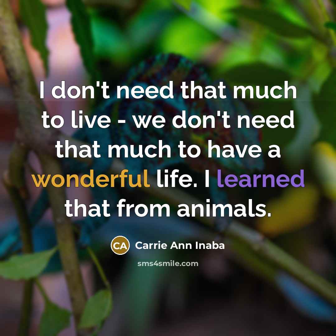 “I don't need that much to live - we don't…” quote by Carrie Ann Inaba