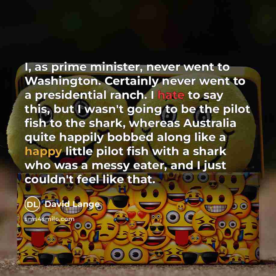 “I, as prime minister, never went to Washington. Certainly never…” quote by David Lange
