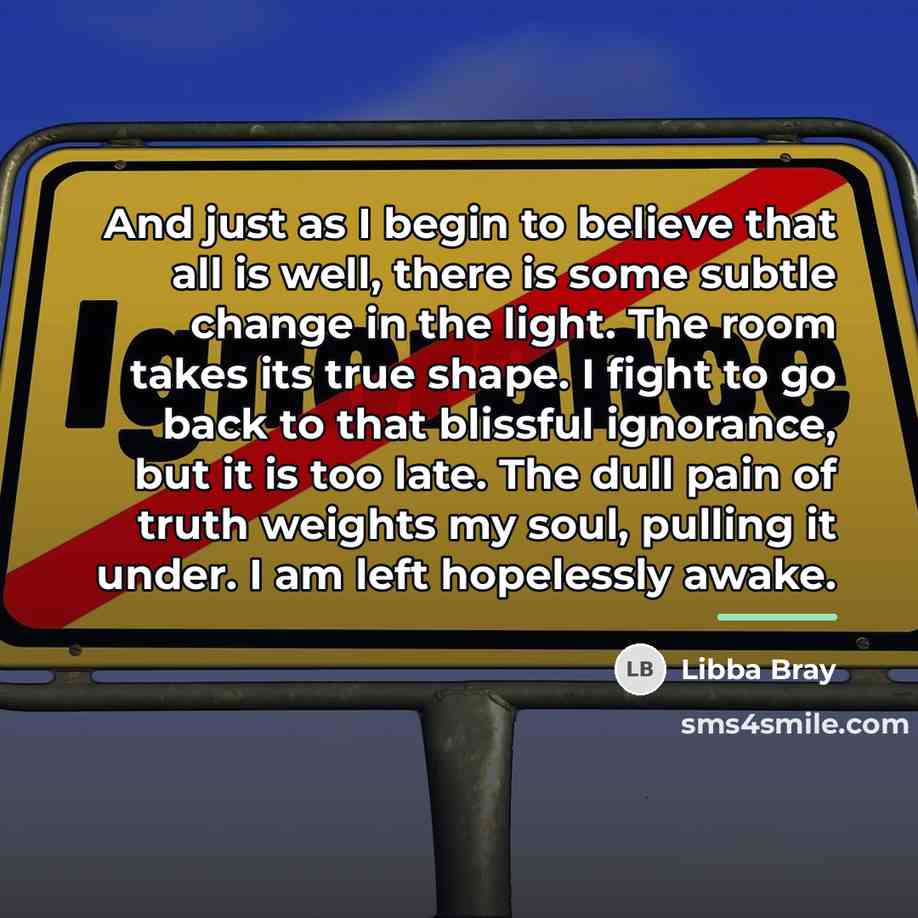 “And just as I begin to believe that all is…” quote by Libba Bray