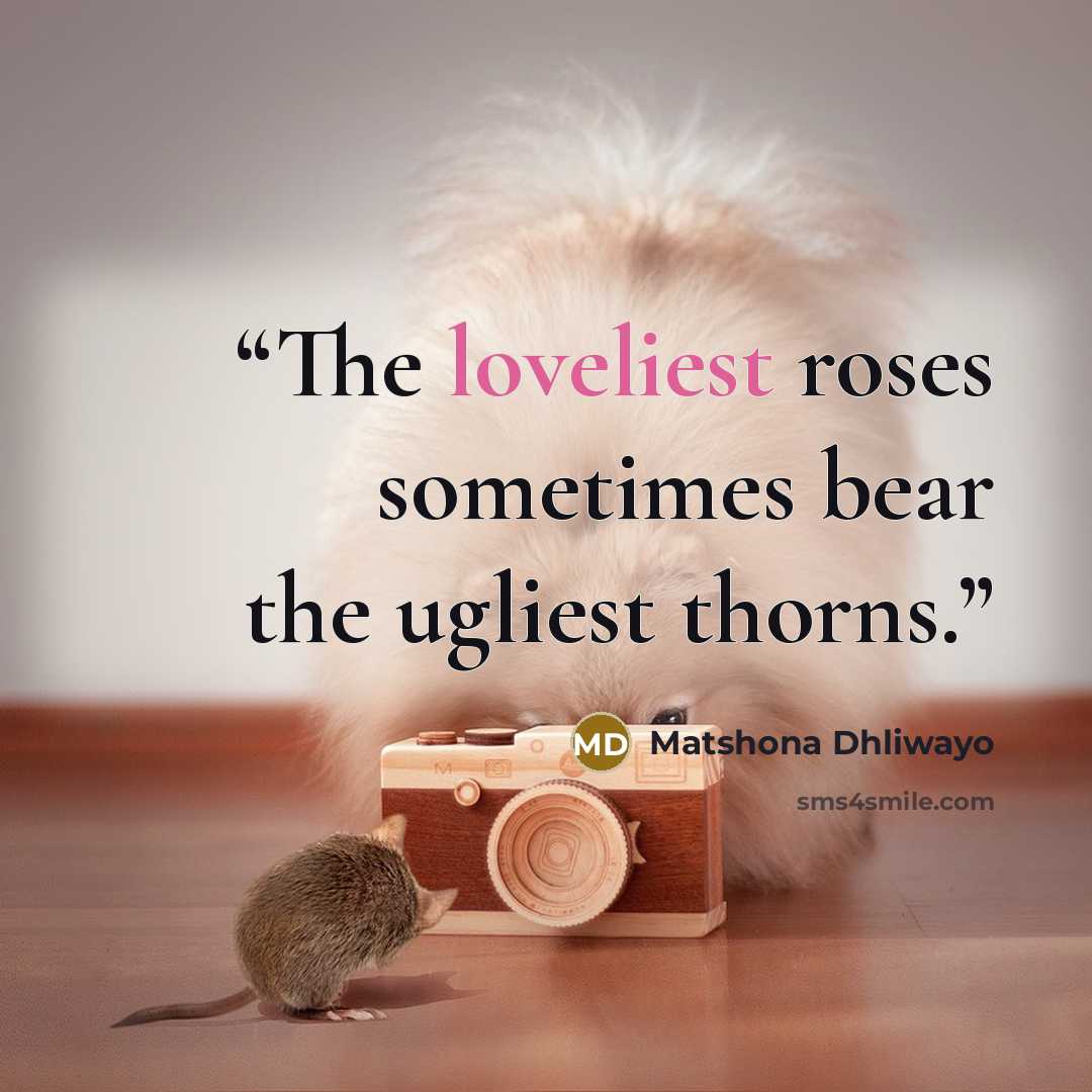 “The loveliest roses sometimes bear the ugliest thorns.” quote by Matshona Dhliwayo