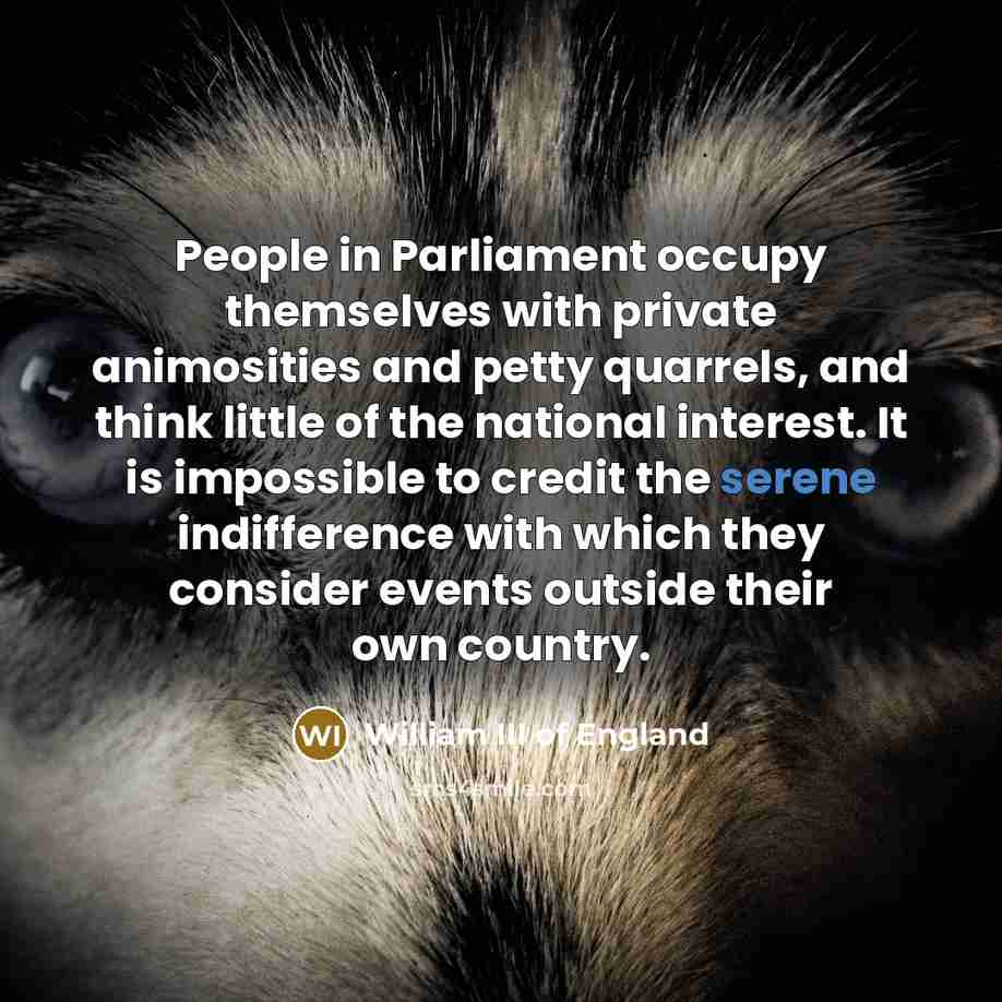 “People in Parliament occupy themselves with private animosities and petty…” quote by William III of England