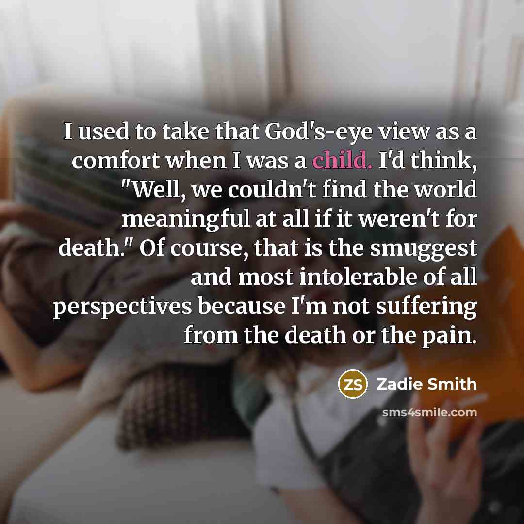 “I used to take that God's-eye view as a comfort…” quote by Zadie Smith