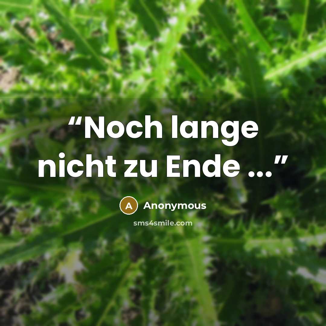“Noch lange nicht zu Ende ...” quote by Anonymous