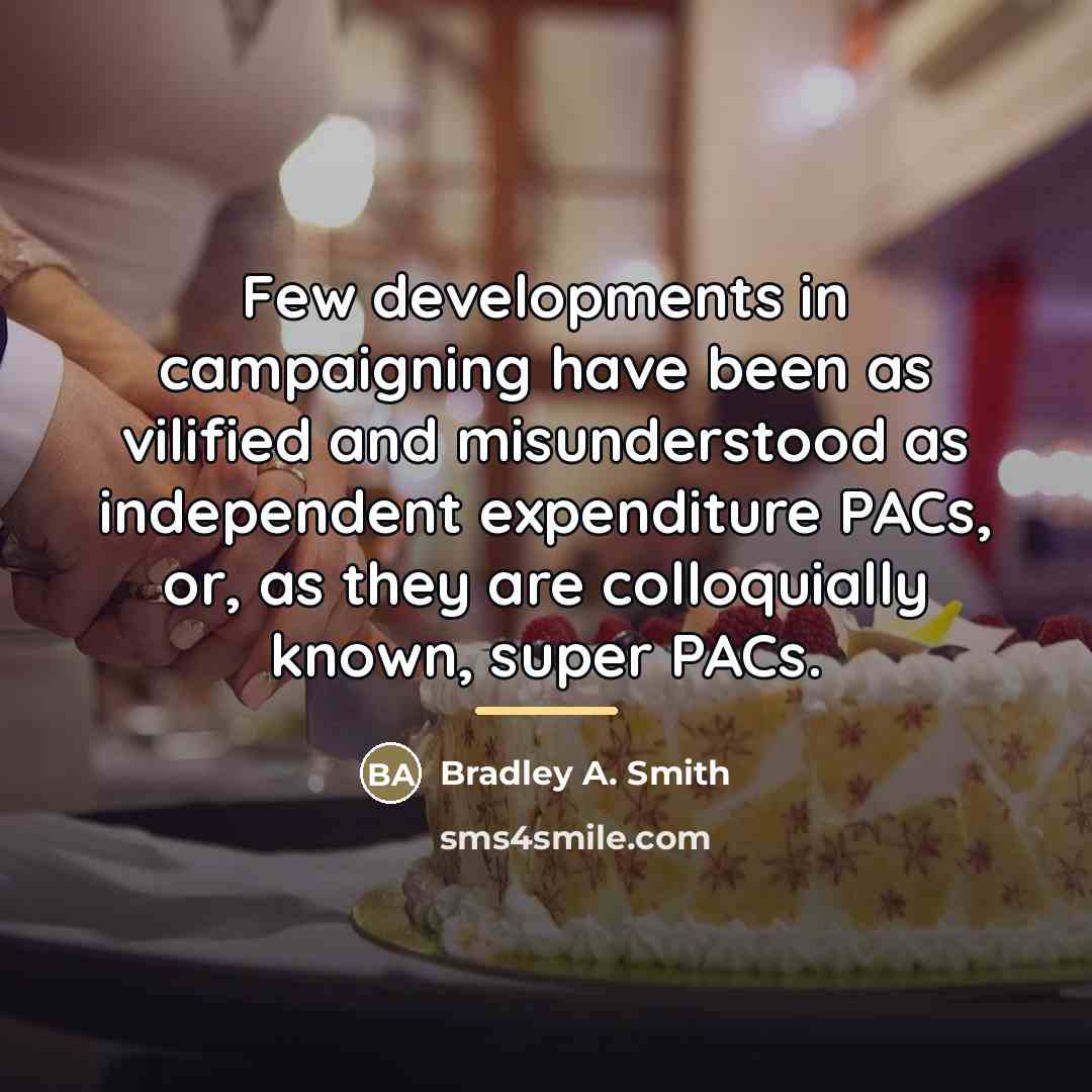 “Few developments in campaigning have been as vilified and misunderstood…” quote by Bradley A. Smith