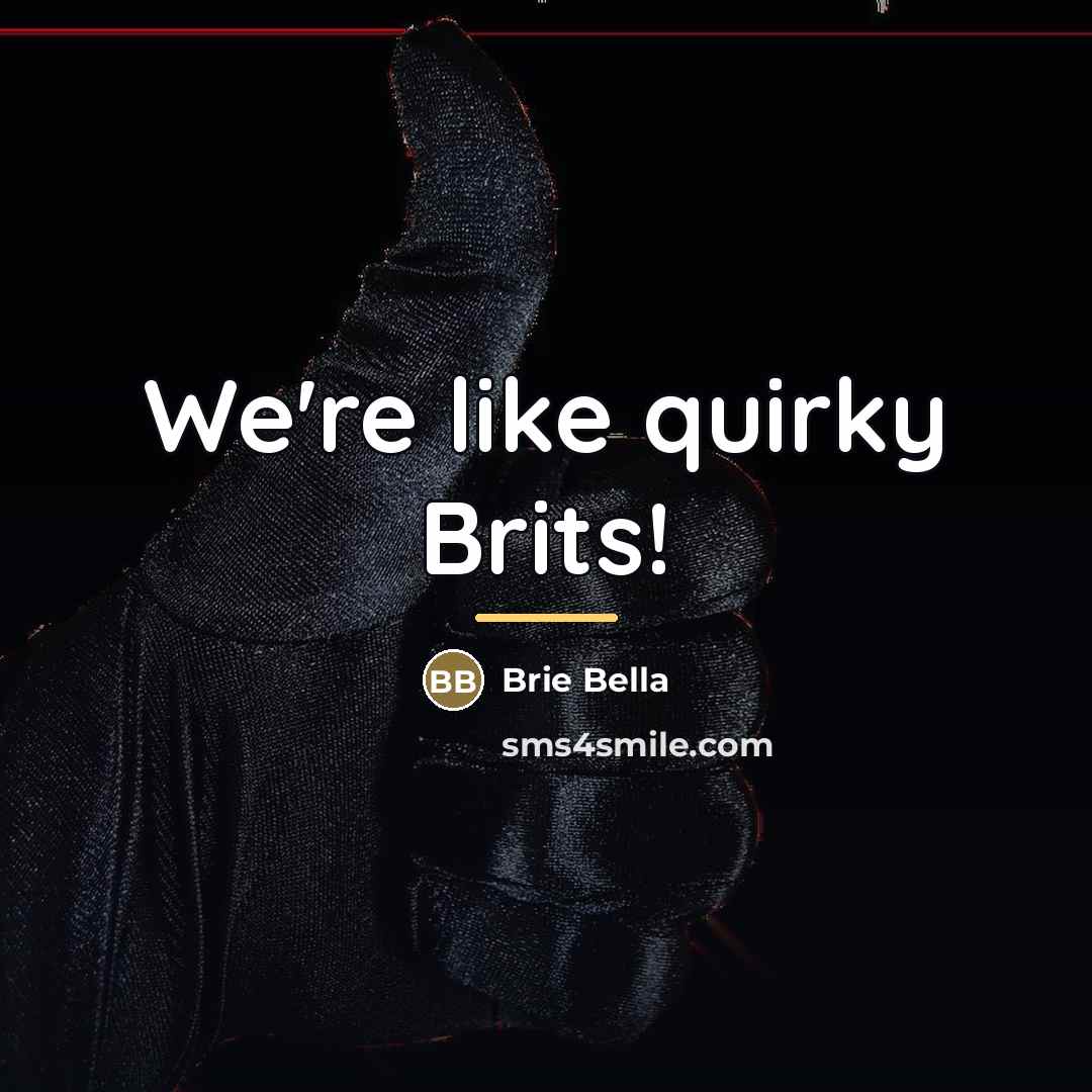 “We're like quirky Brits!…” quote by Brie Bella