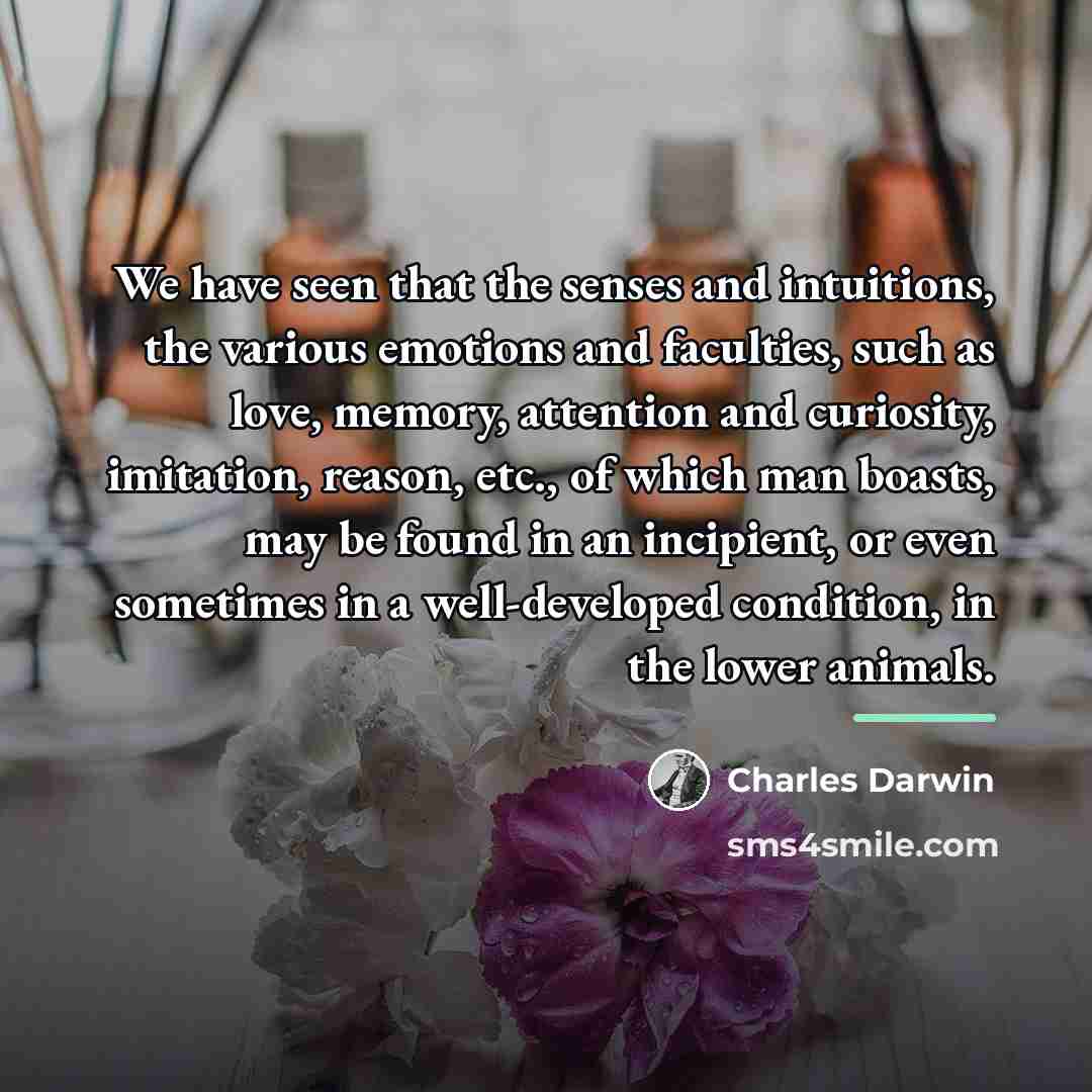 “We have seen that the senses and intuitions, the various…” quote by Charles Darwin