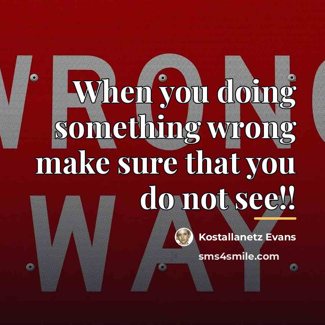 “When you doing something wrong make sure that you do…” quote by Kostallanetz Evans