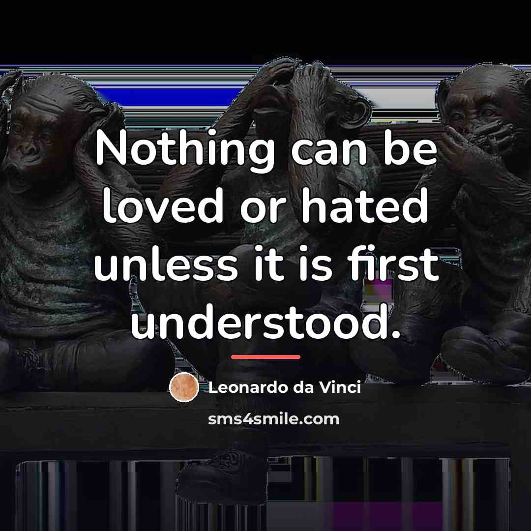 “Nothing can be loved or hated unless it is first…” quote by Leonardo da Vinci