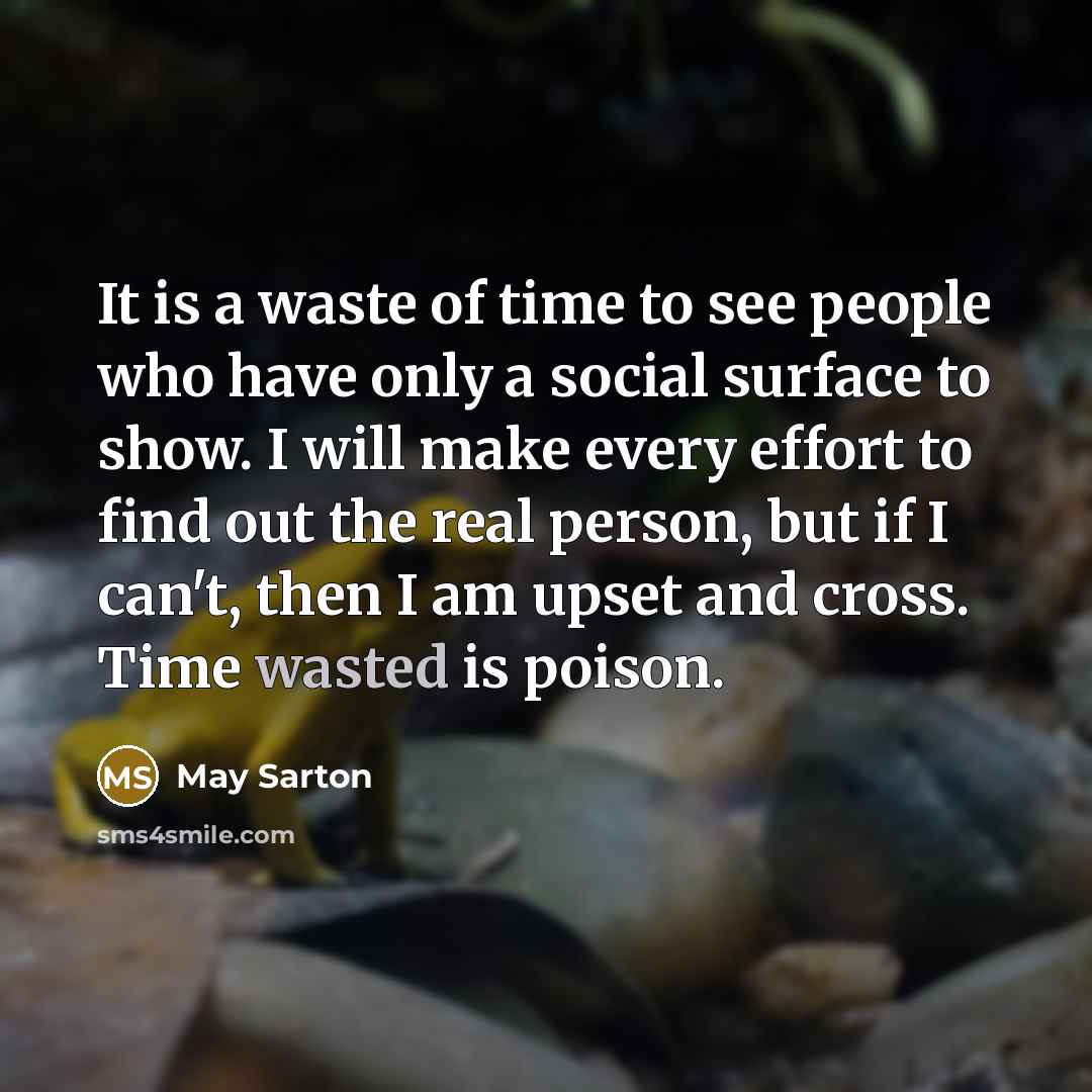 “It is a waste of time to see people who…” quote by May Sarton
