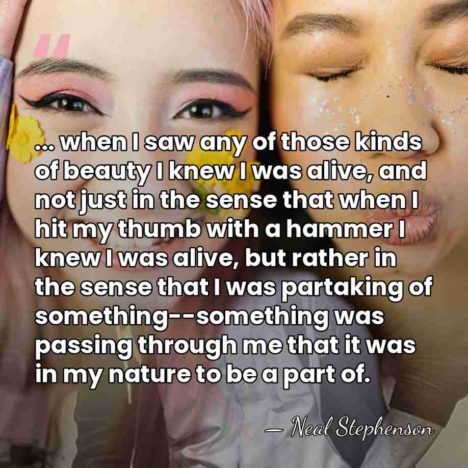 ... when I saw any of those kinds of beauty I knew&hellip; - Neal Stephenson