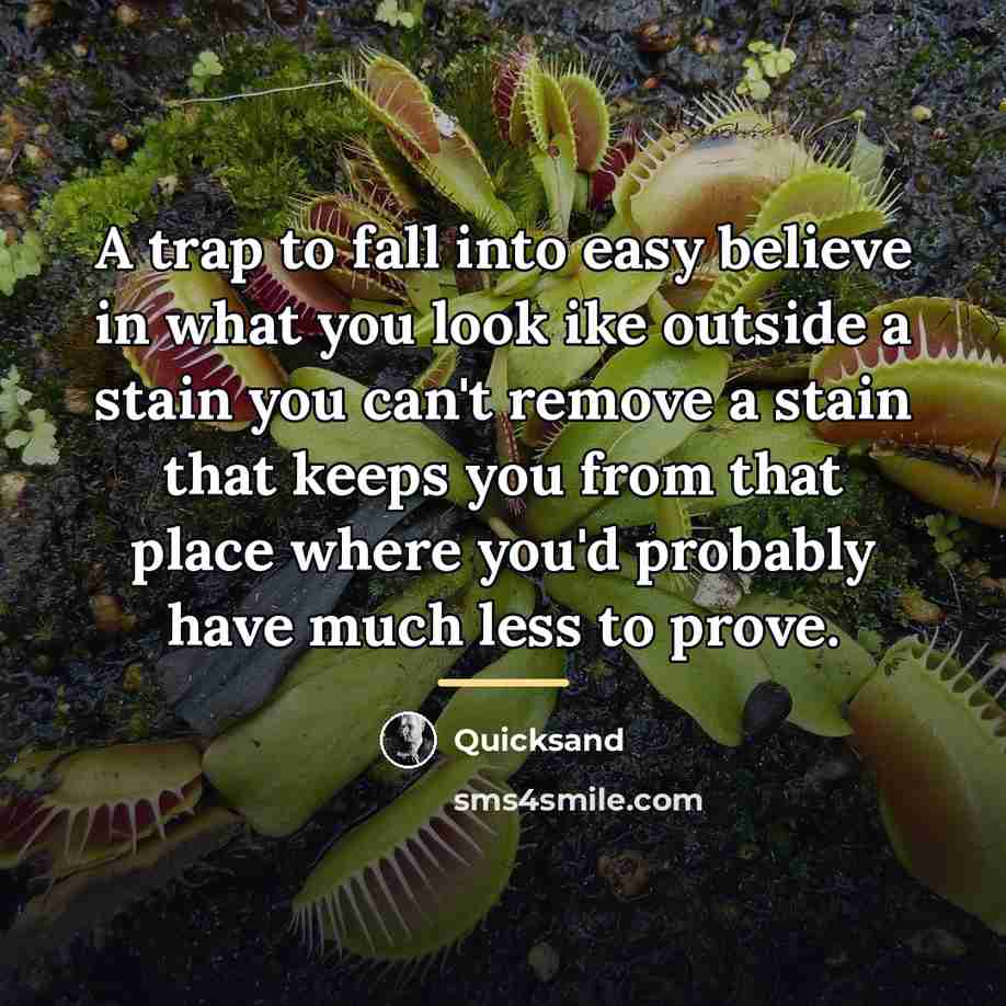 “A trap to fall into easy believe in what you…” quote by Quicksand