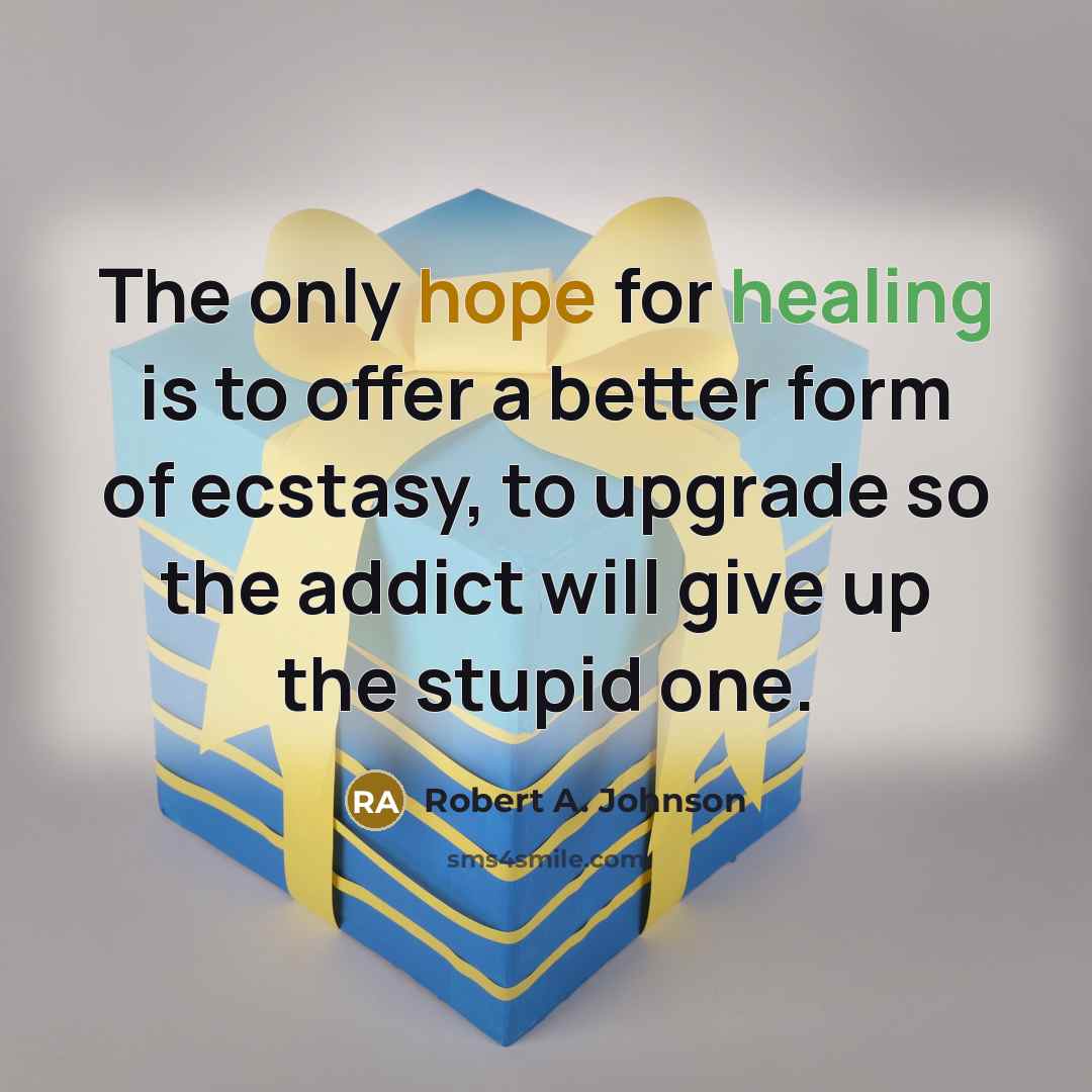 “The only hope for healing is to offer a better…” quote by Robert A. Johnson