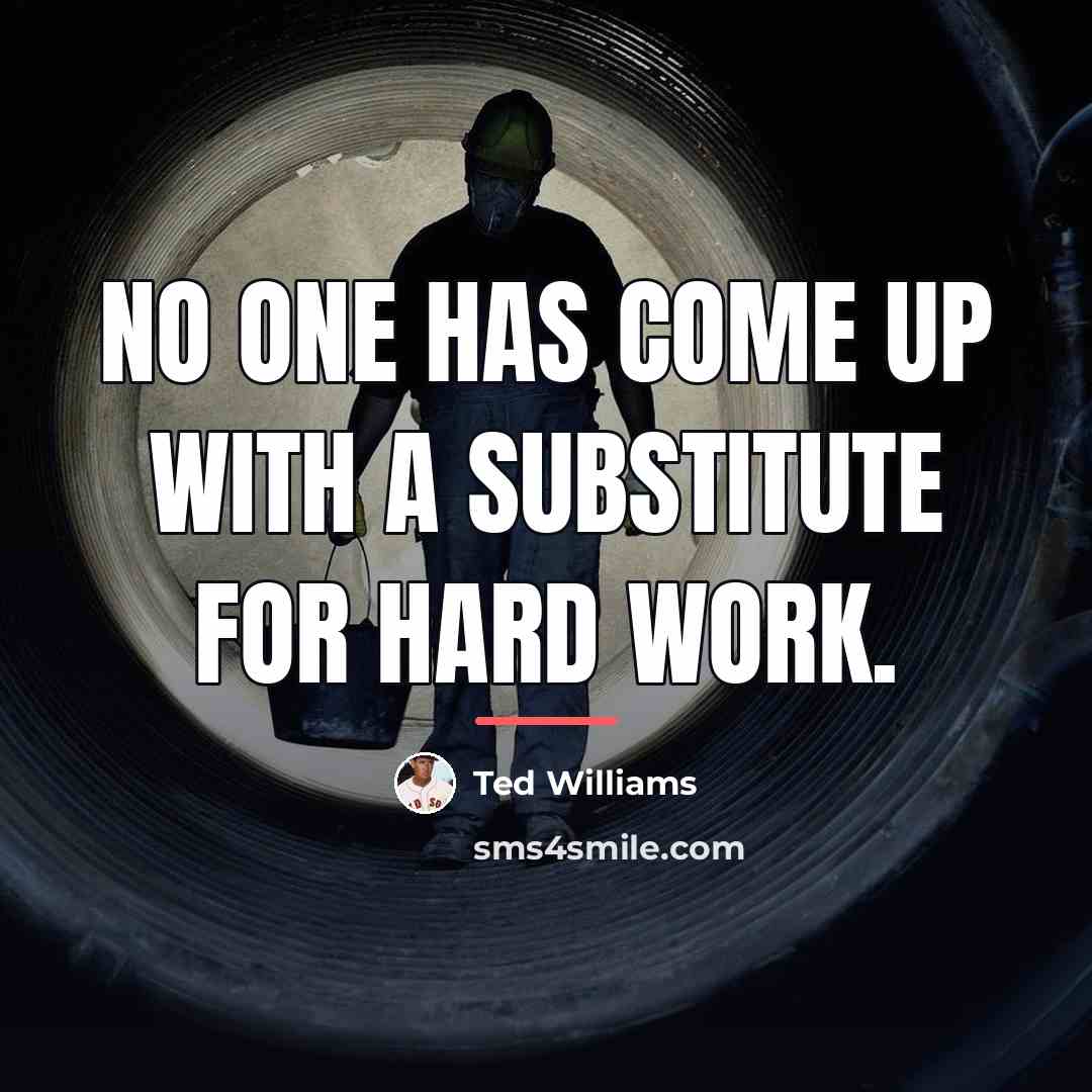 “No one has come up with a substitute for hard…” quote by Ted Williams