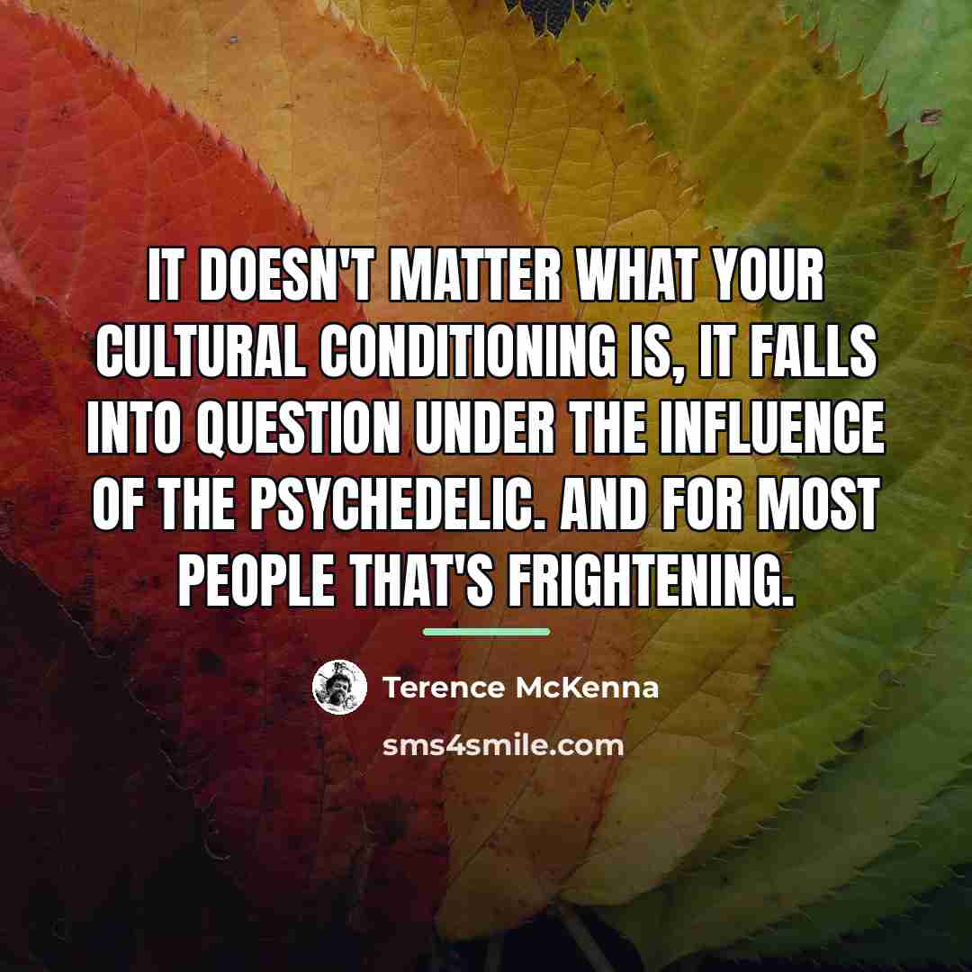 “It doesn't matter what your cultural conditioning is, it falls…” quote by Terence McKenna