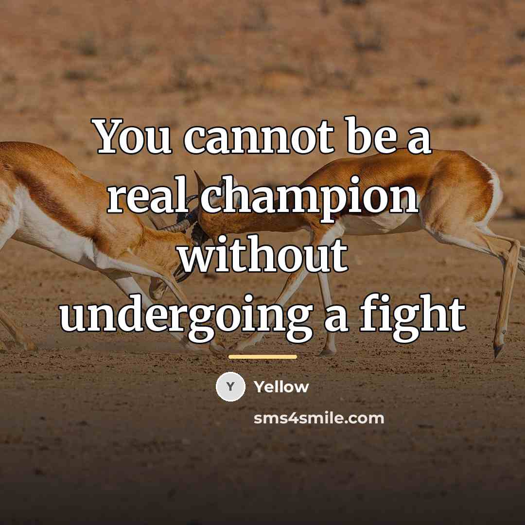 “You cannot be a real champion without undergoing a fight…” quote by Yellow