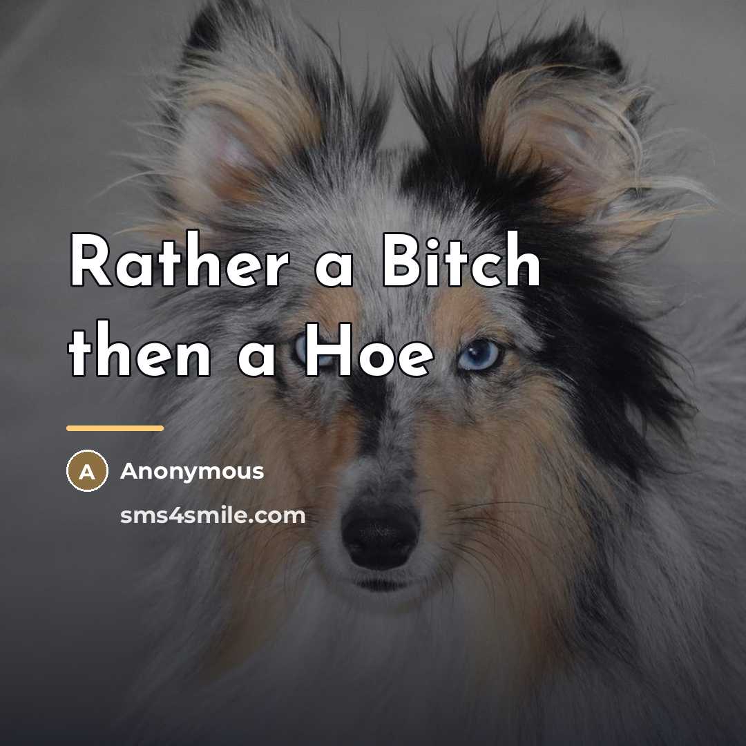 “Rather a Bitch then a Hoe…” quote by Anonymous