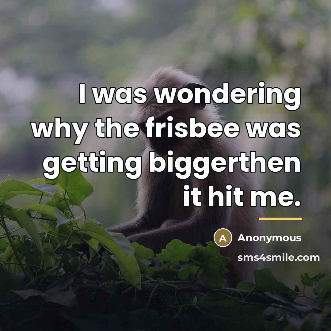 “I was wondering why the frisbee was getting biggerthen it…” quote by Anonymous