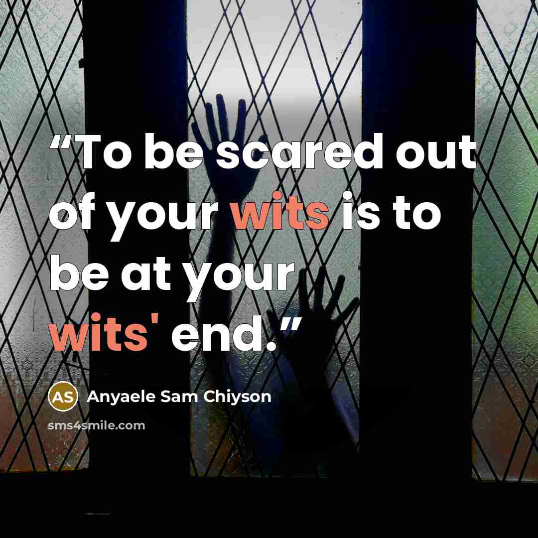 “To be scared out of your wits is to be at your wits' end.” quote by Anyaele Sam Chiyson