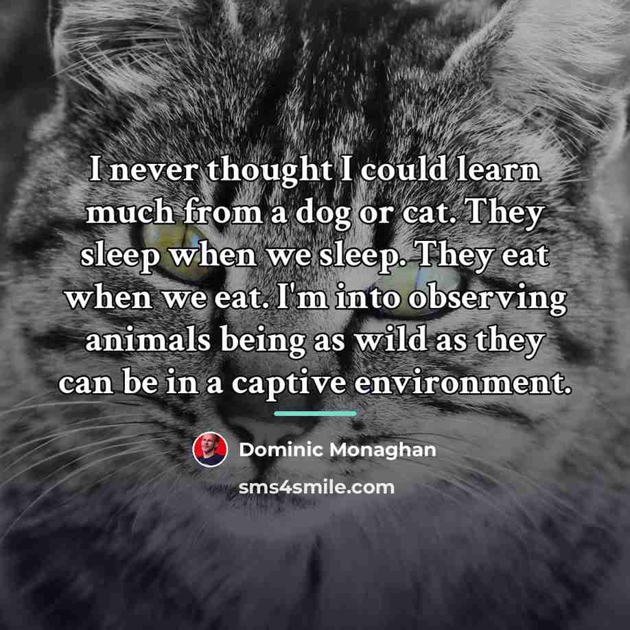 “I never thought I could learn much from a dog…” quote by Dominic Monaghan