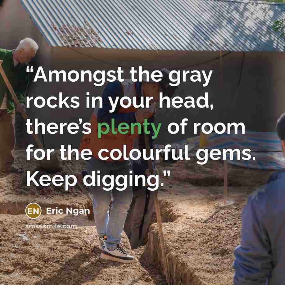 “Amongst the gray rocks in your head, there’s plenty of room for the colourful gems. Keep digging.” quote by Eric Ngan