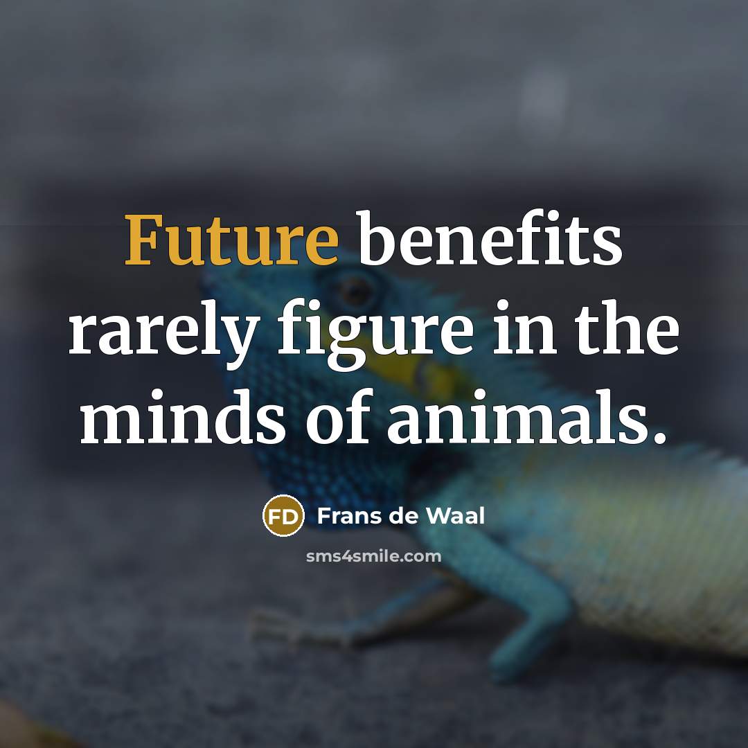 “Future benefits rarely figure in the minds of animals.…” quote by Frans de Waal