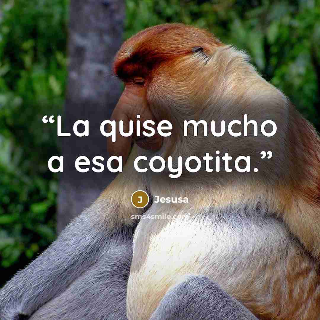 “La quise mucho a esa coyotita.” quote by Jesusa