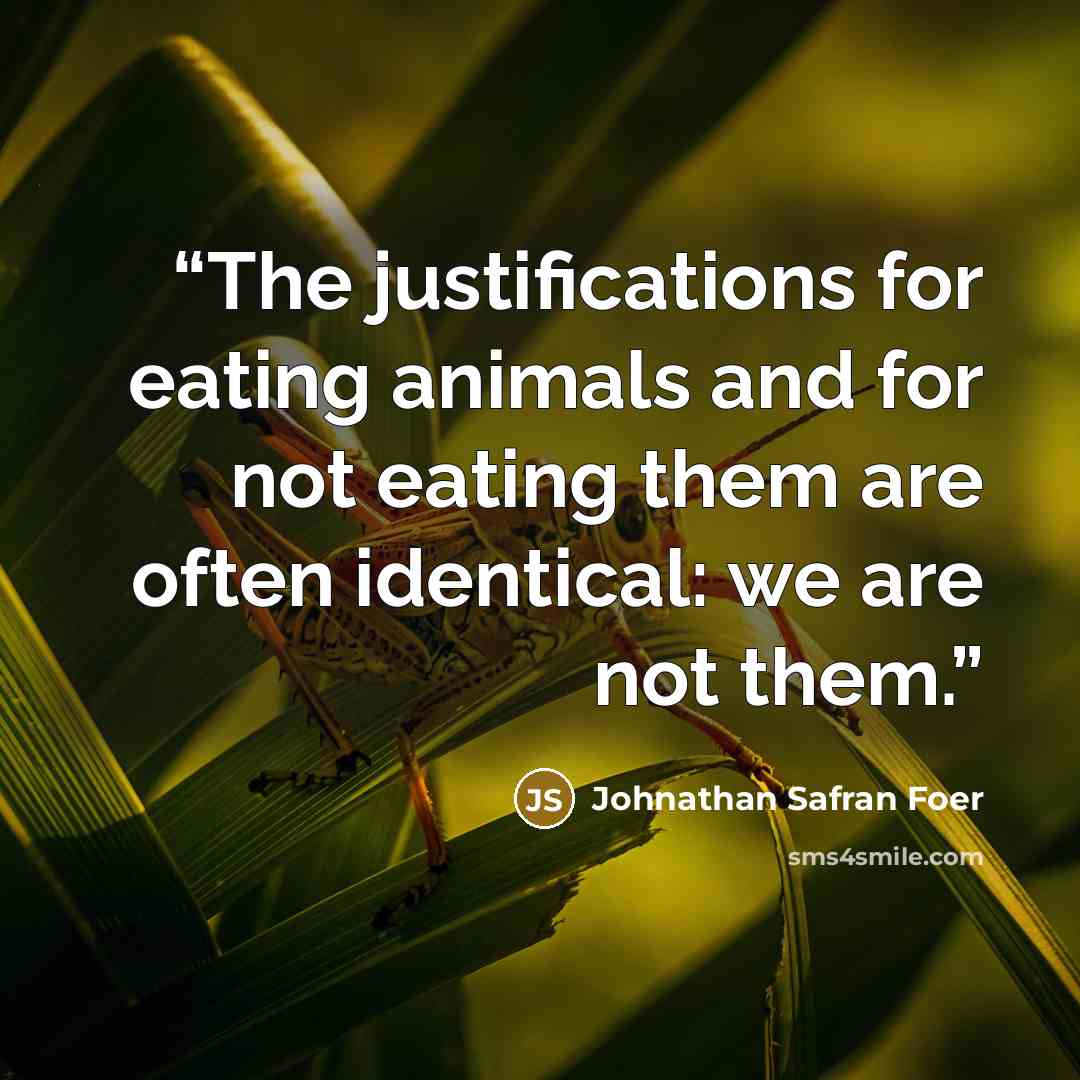 “The justifications for eating animals and for not eating them are often identical: we are not them.” quote by Johnathan Safran Foer