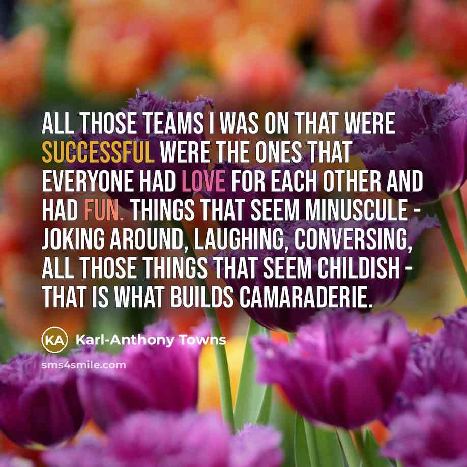 “All those teams I was on that were successful were…” quote by Karl-Anthony Towns