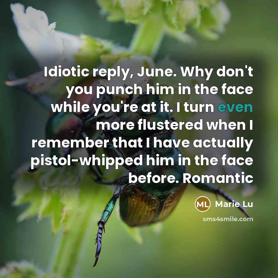 “Idiotic reply, June. Why don't you punch him in the…” quote by Marie Lu