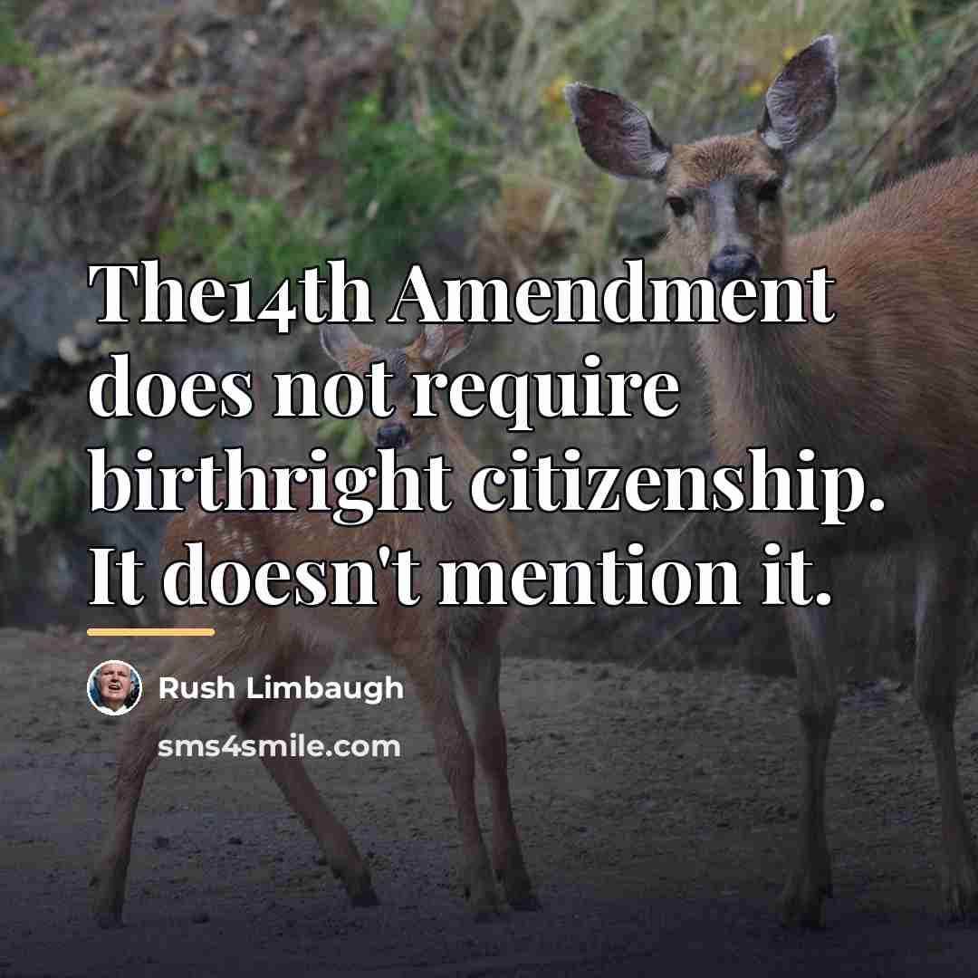 “The14th Amendment does not require birthright citizenship. It doesn't mention…” quote by Rush Limbaugh