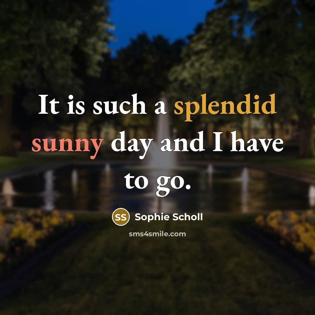 “It is such a splendid sunny day and I have…” quote by Sophie Scholl