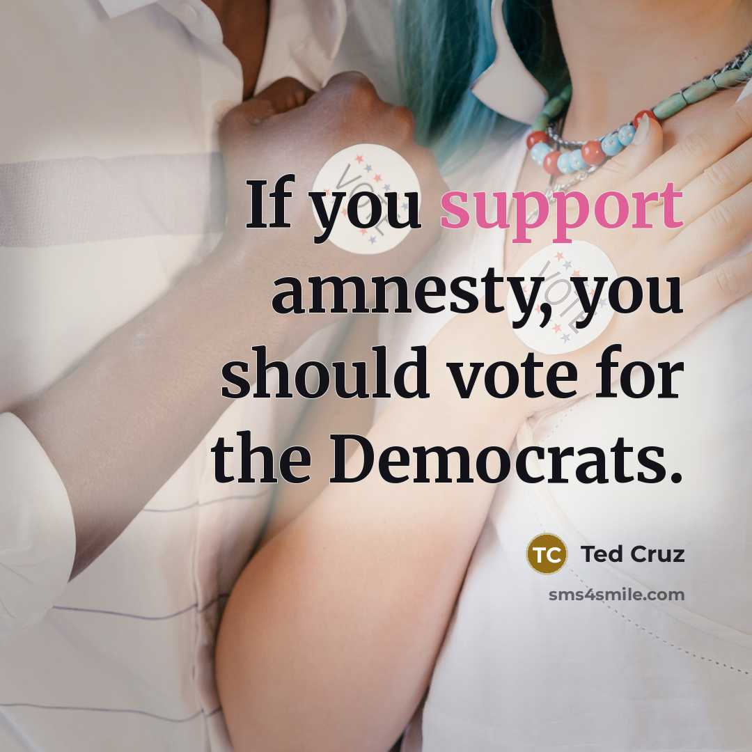 “If you support amnesty, you should vote for the Democrats.…” quote by Ted Cruz