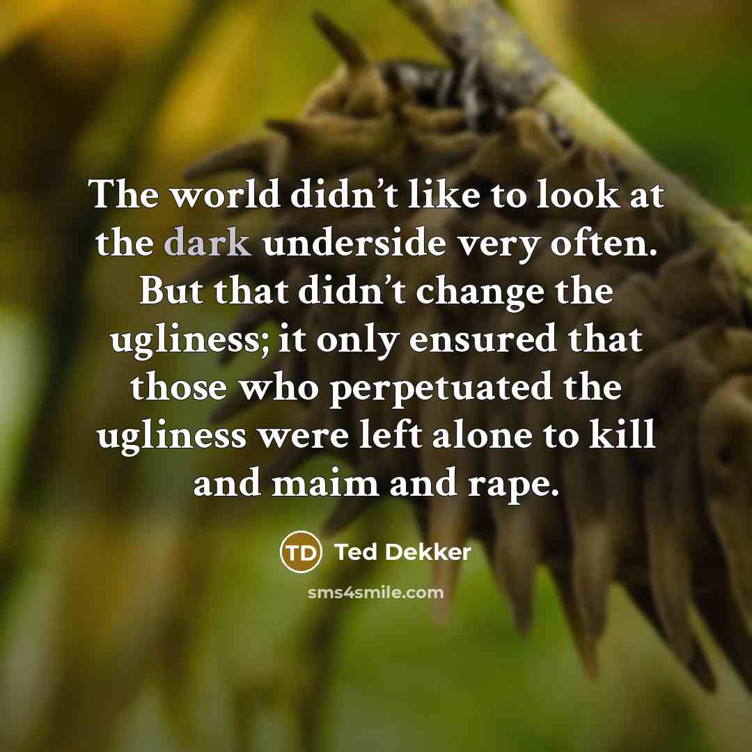 “The world didn’t like to look at the dark underside…” quote by Ted Dekker