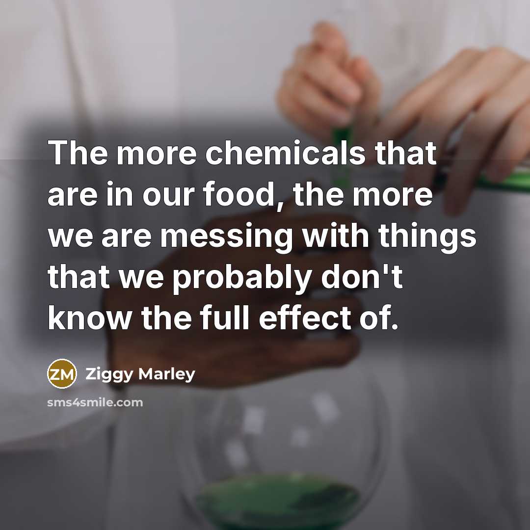 “The more chemicals that are in our food, the more…” quote by Ziggy Marley