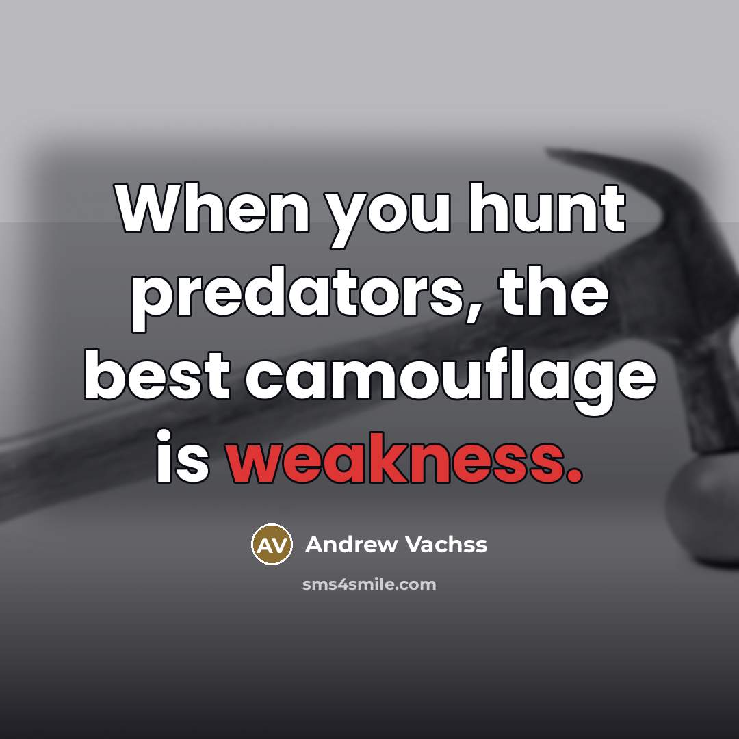 “When you hunt predators, the best camouflage is weakness.…” quote by Andrew Vachss
