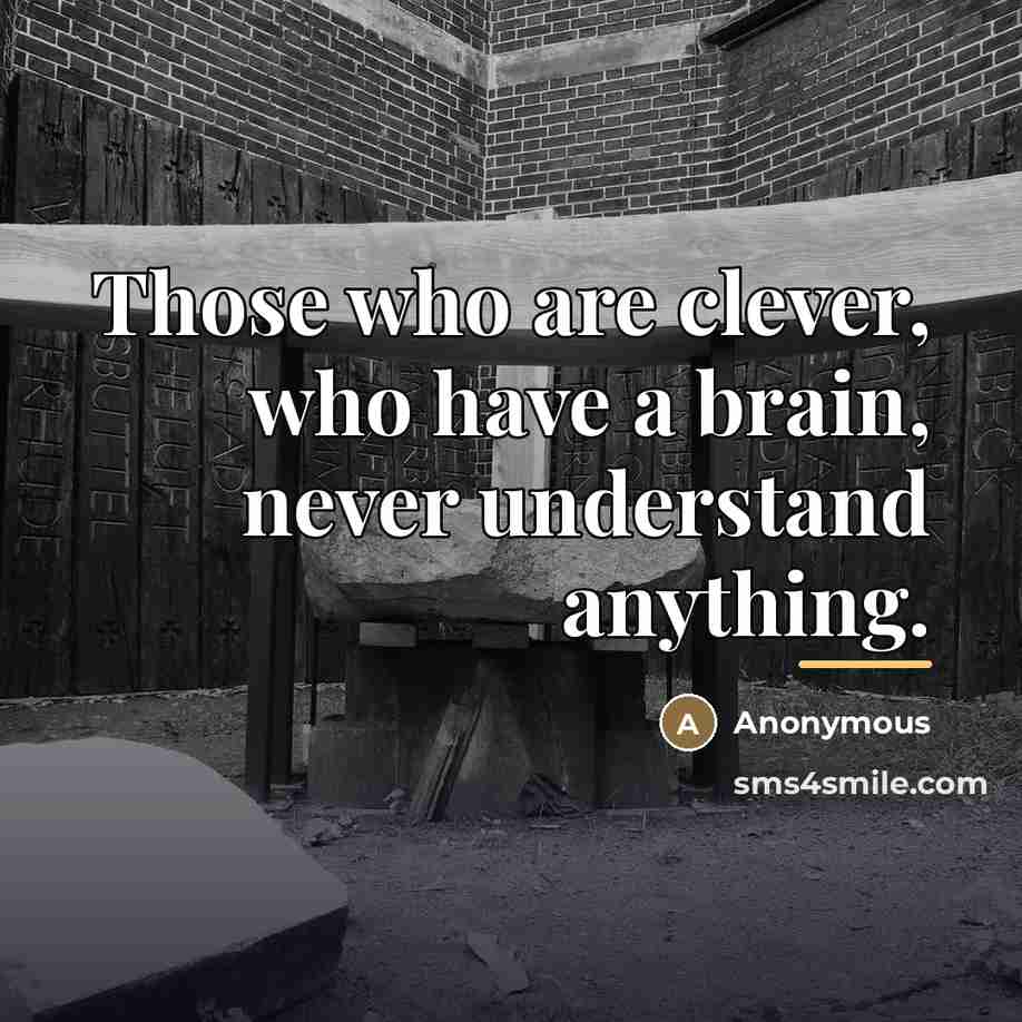 “Those who are clever, who have a brain, never understand…” quote by Anonymous